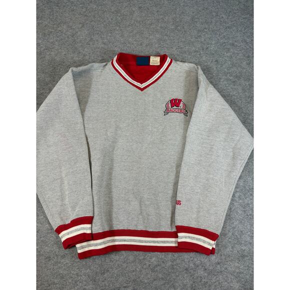 VINTAGE 90s Wisconsin Badgers Discus Athletic Sweatshirt Mens Large Gray NCAA - Picture 1 of 7
